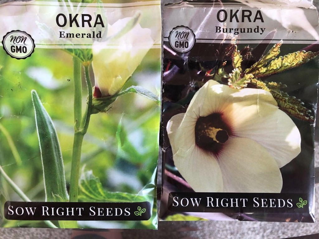 f:id:Toshibo:20210523225409j:image