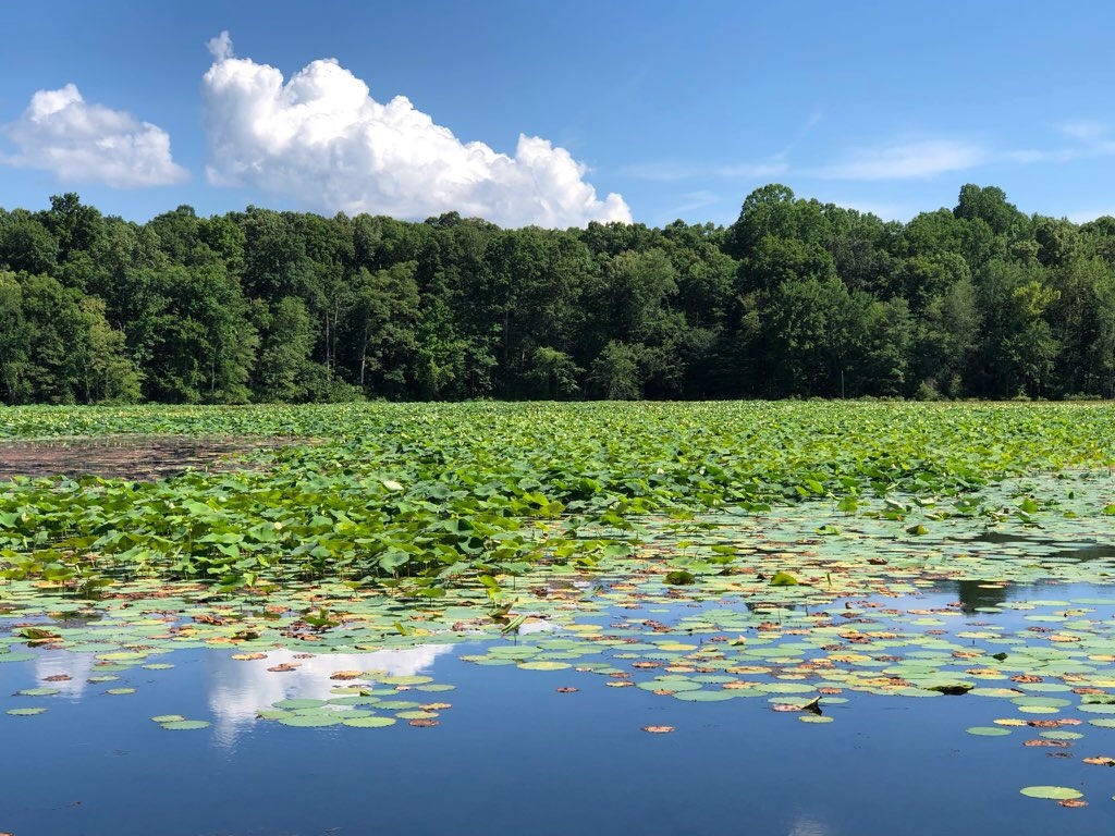 f:id:Toshibo:20210728122926j:image