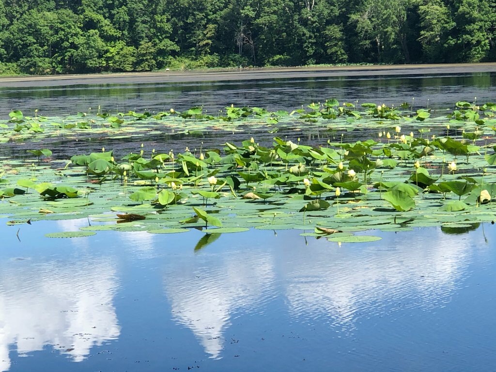 f:id:Toshibo:20210728122930j:image