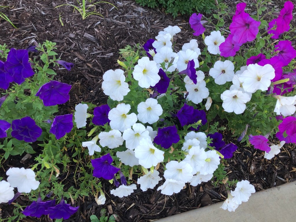 f:id:Toshibo:20210807123012j:image f:id:Toshibo:20210807123012j:image