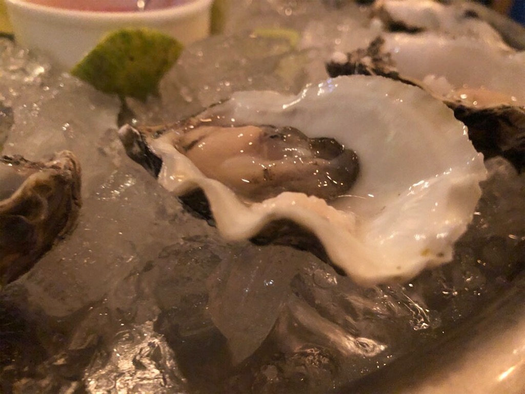 f:id:Toshibo:20210810214628j:image