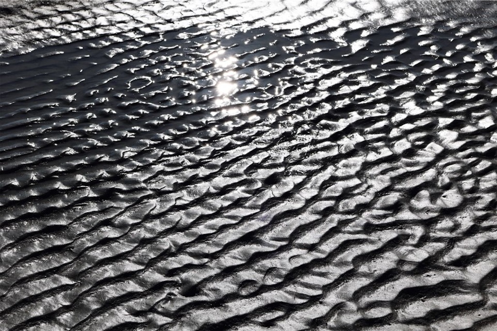 f:id:Toshibo:20211206072629j:image