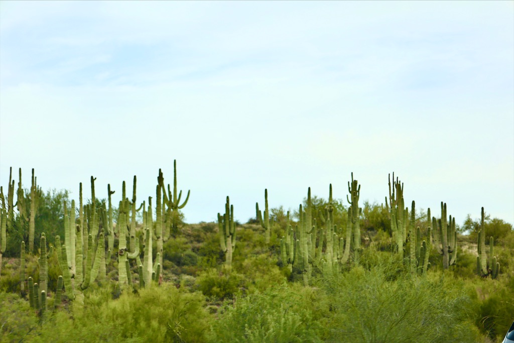 f:id:Toshibo:20211228143825j:image