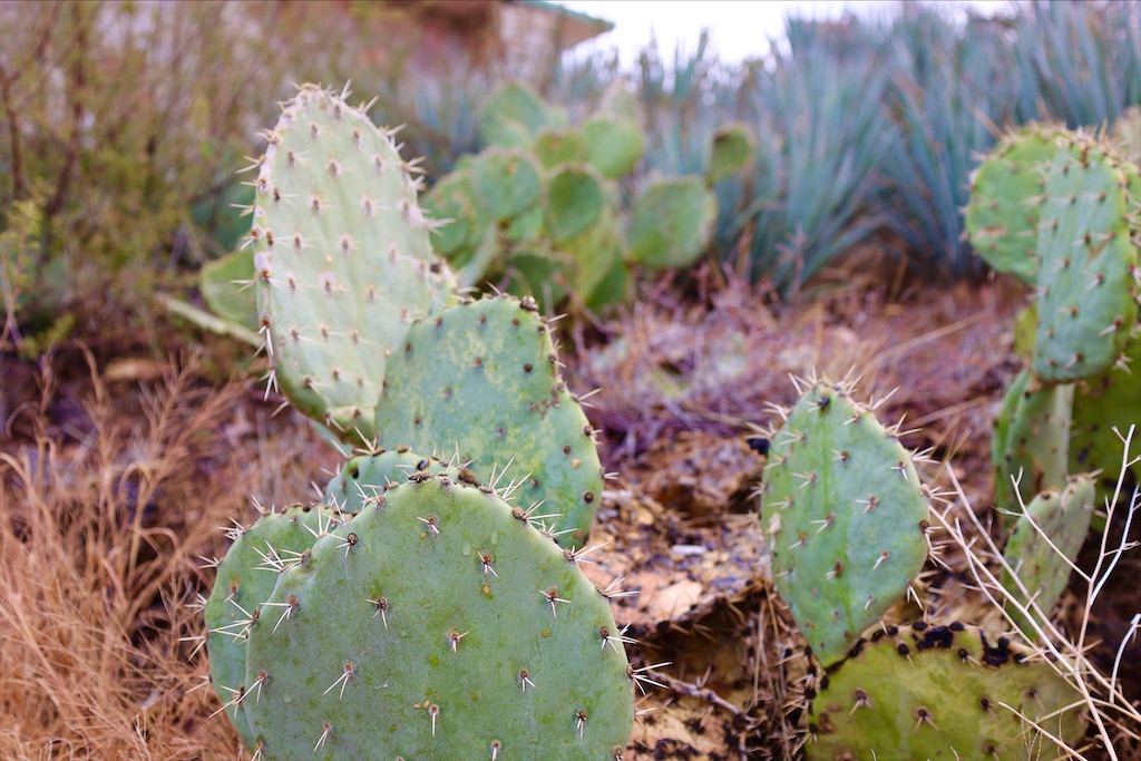 f:id:Toshibo:20211228143845j:image