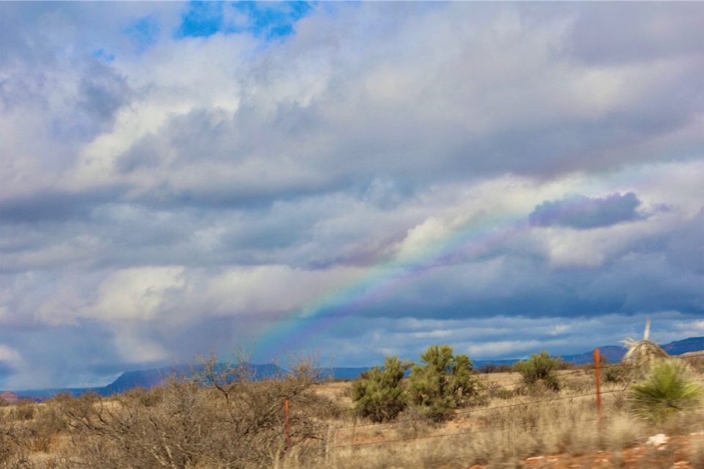 f:id:Toshibo:20211231224449j:image