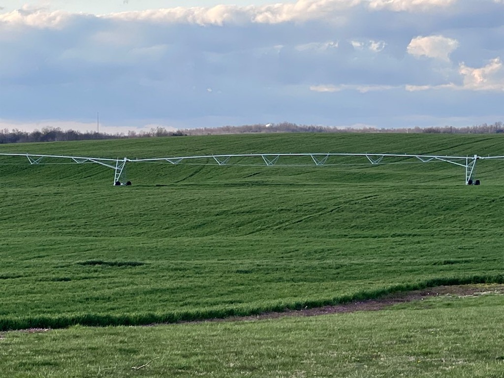 f:id:Toshibo:20220405103318j:image