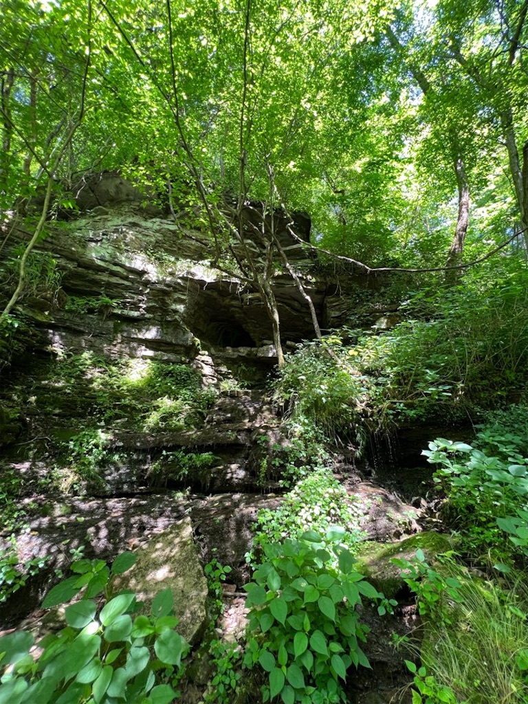 f:id:Toshibo:20220515232203j:image