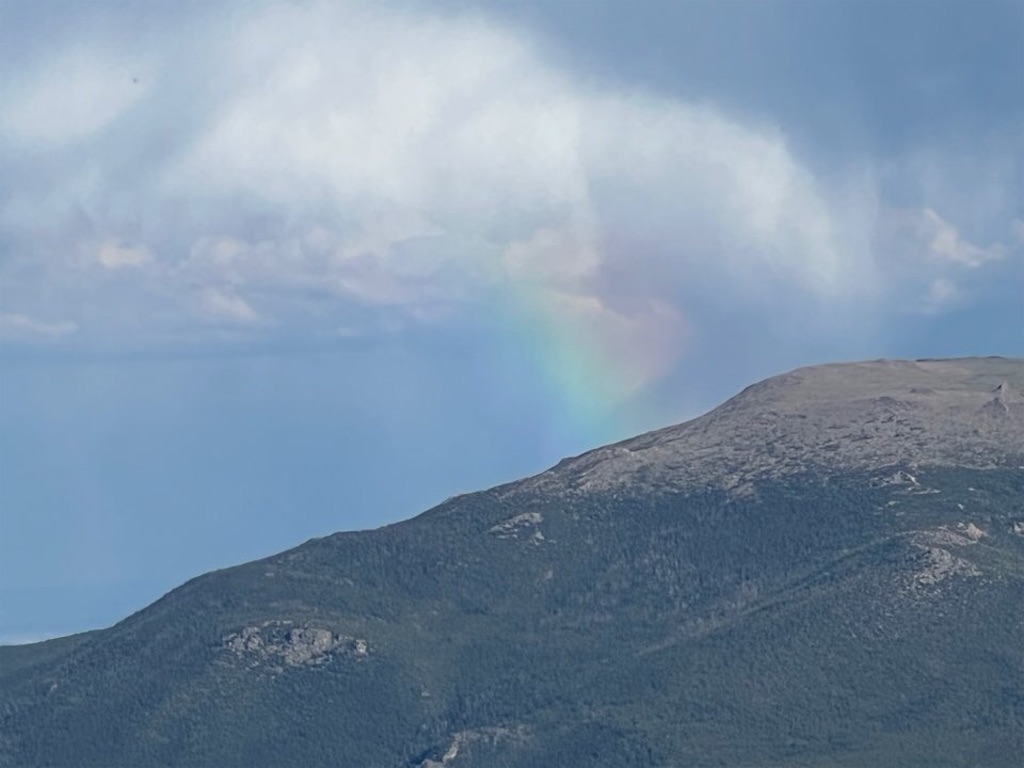 f:id:Toshibo:20220709220652j:image