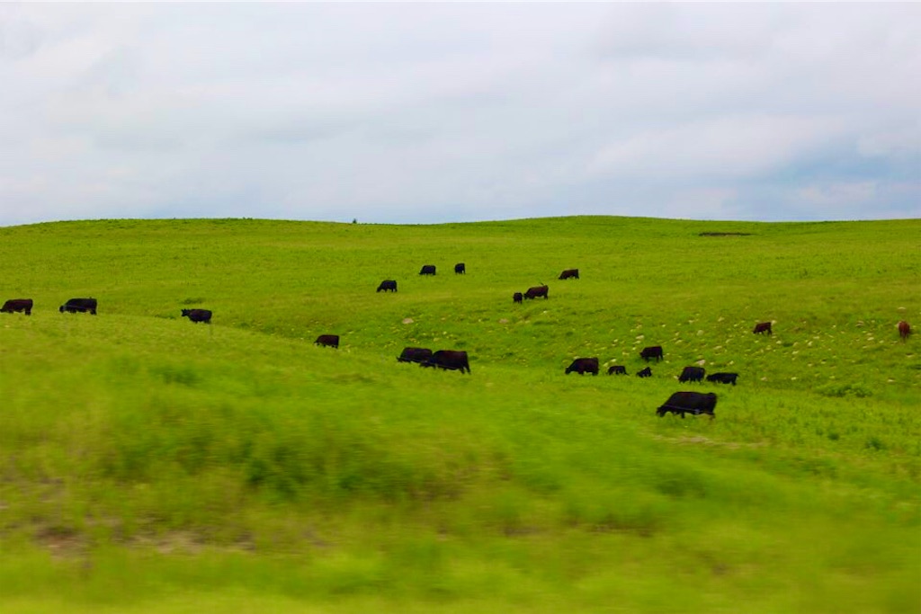 f:id:Toshibo:20220710102319j:image