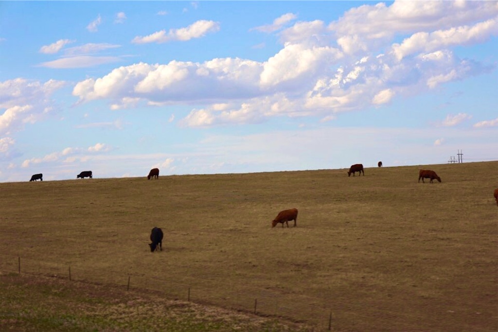 f:id:Toshibo:20220710102343j:image