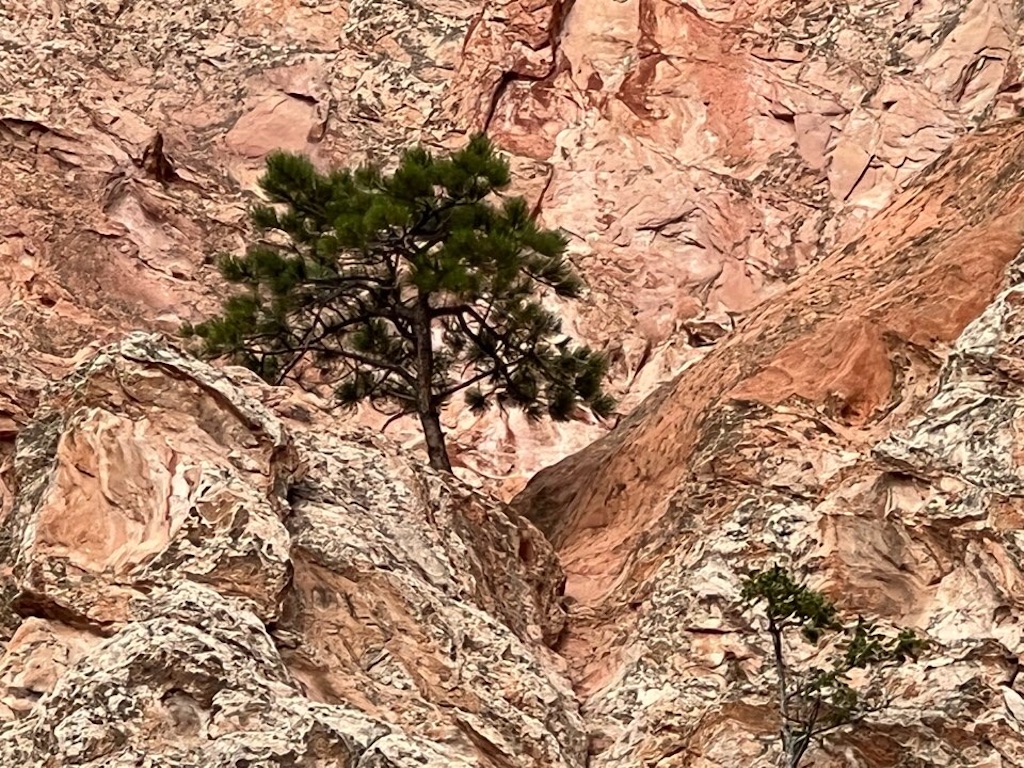 f:id:Toshibo:20220714071852j:image f:id:Toshibo:20220714071852j:image