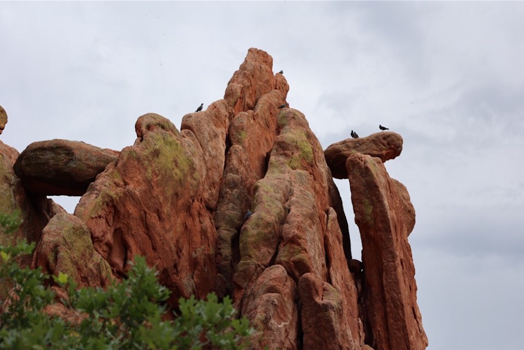 f:id:Toshibo:20220714072016j:image f:id:Toshibo:20220714072016j:image