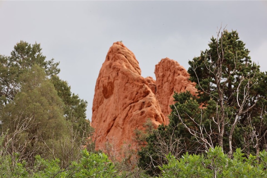 f:id:Toshibo:20220714072020j:image f:id:Toshibo:20220714072020j:image