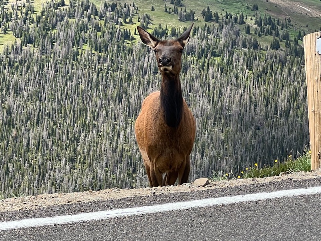 f:id:Toshibo:20220716101051j:image