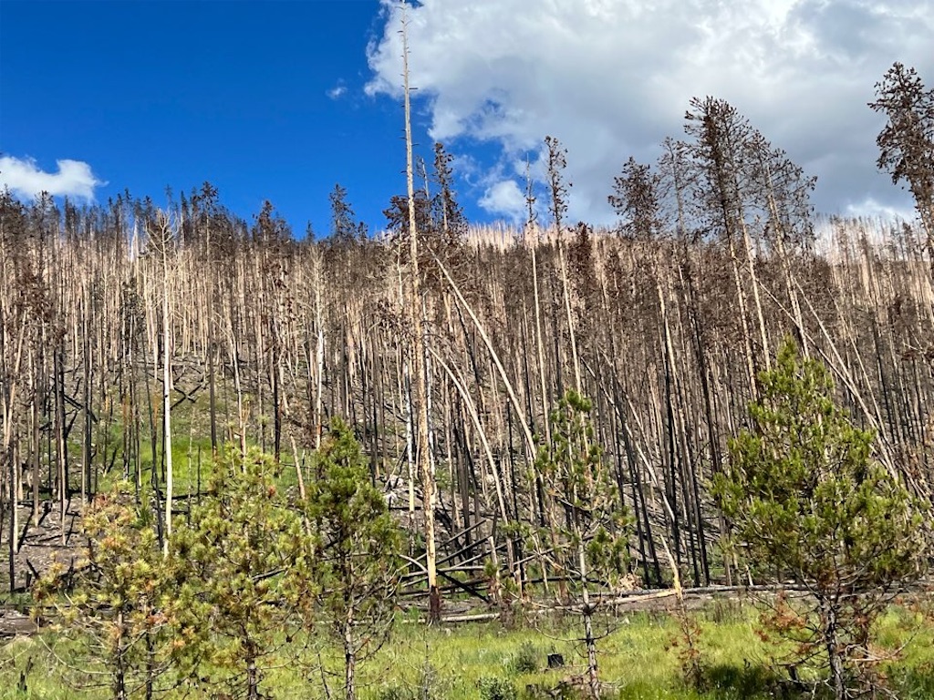 f:id:Toshibo:20220716101100j:image