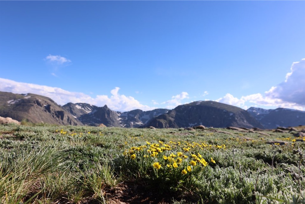 f:id:Toshibo:20220716101130j:image