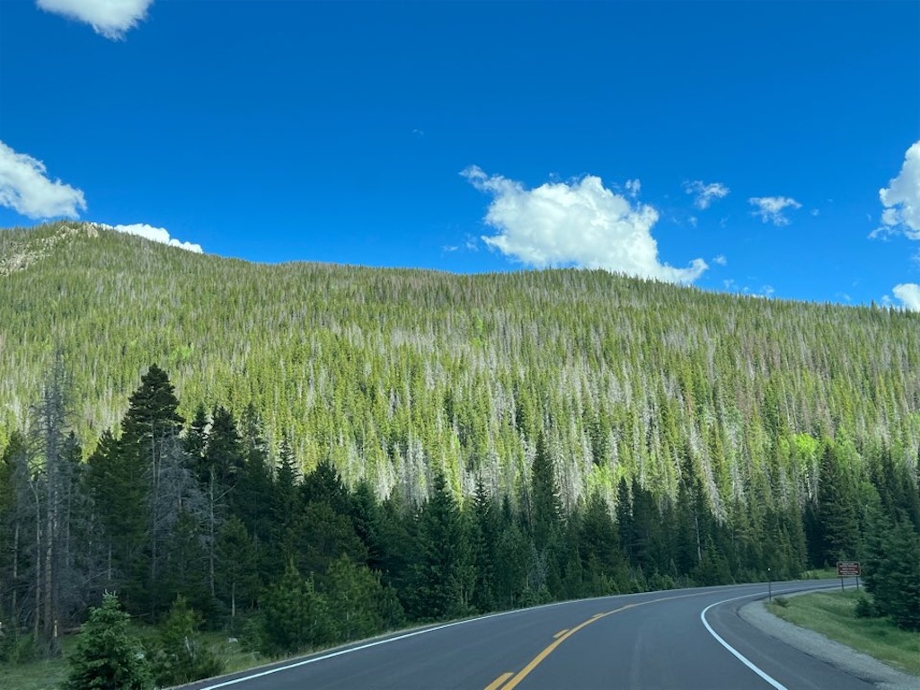 f:id:Toshibo:20220716101231j:image