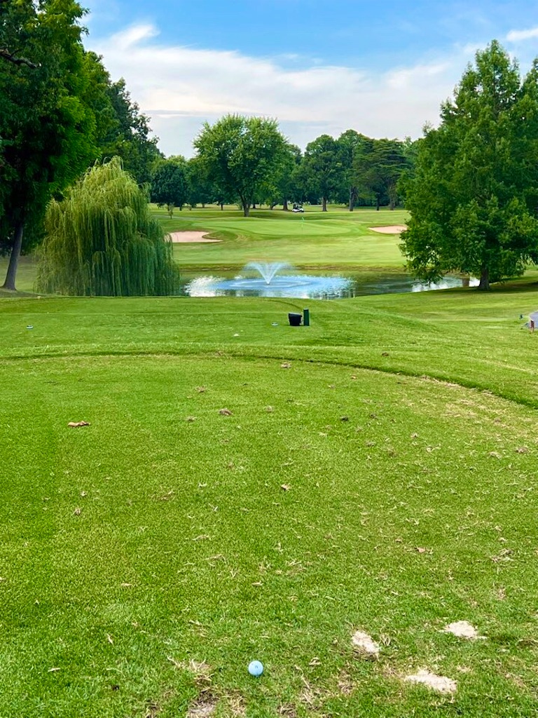 f:id:Toshibo:20220719080318j:image