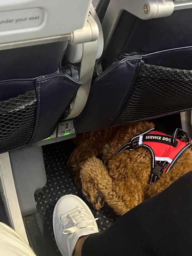 f:id:Toshibo:20221018083532j:image