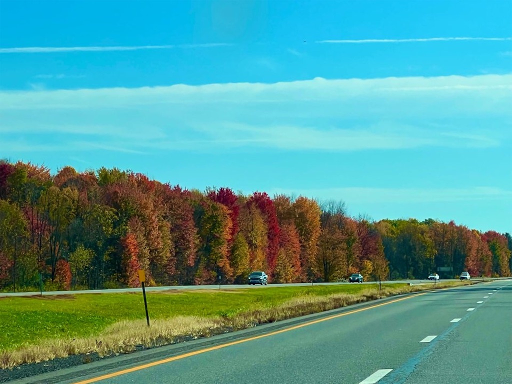 f:id:Toshibo:20221025220952j:image