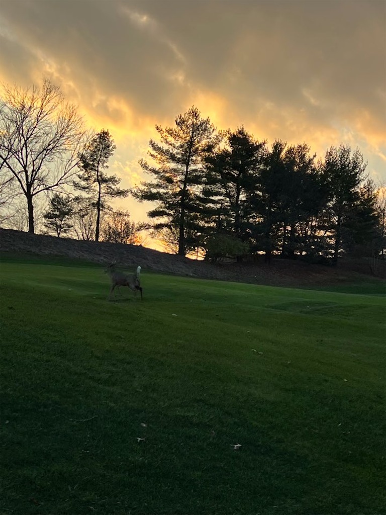 f:id:Toshibo:20221121114418j:image