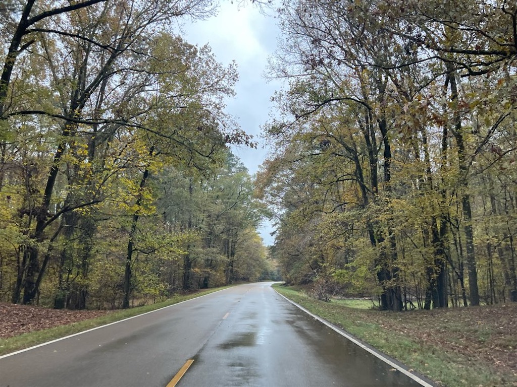 f:id:Toshibo:20221204120949j:image