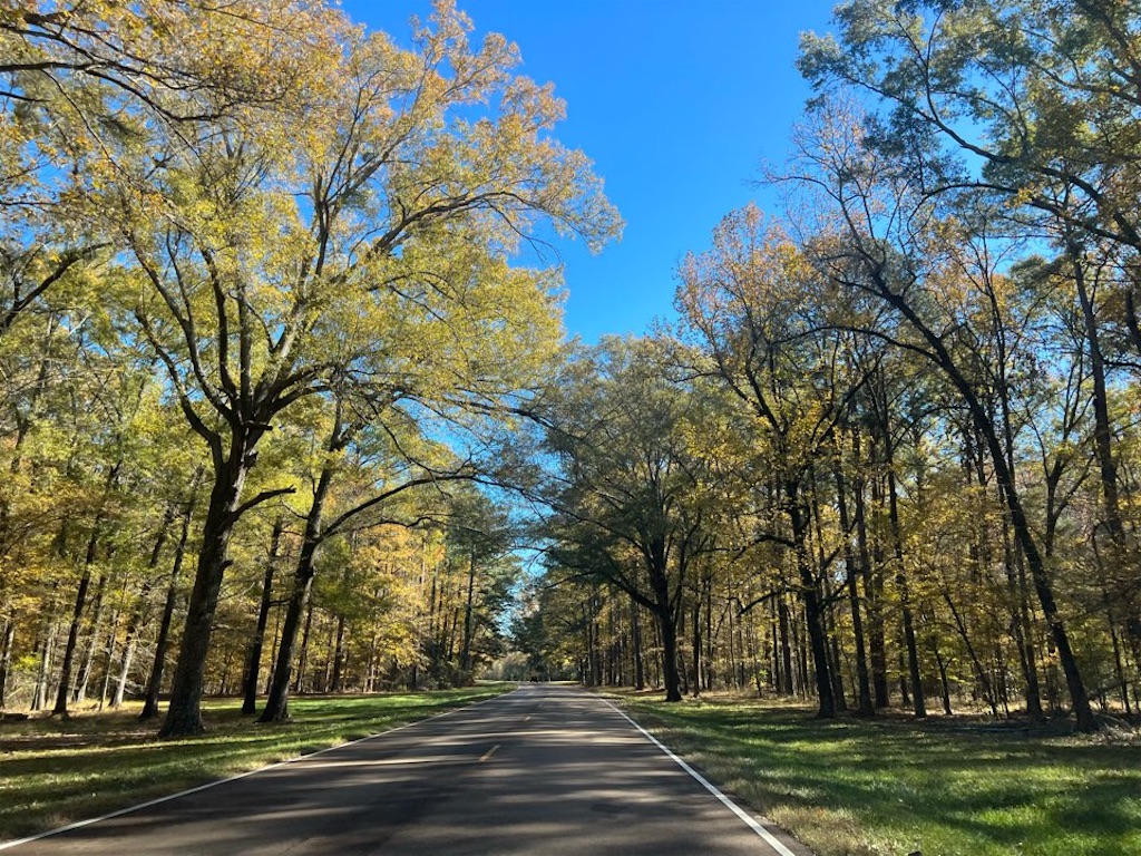 f:id:Toshibo:20221204121012j:image