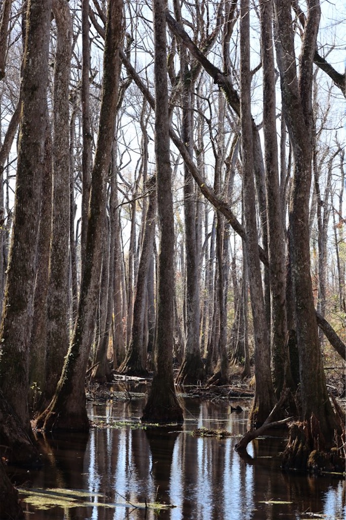 f:id:Toshibo:20221204121038j:image