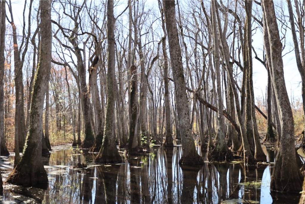 f:id:Toshibo:20221204121041j:image