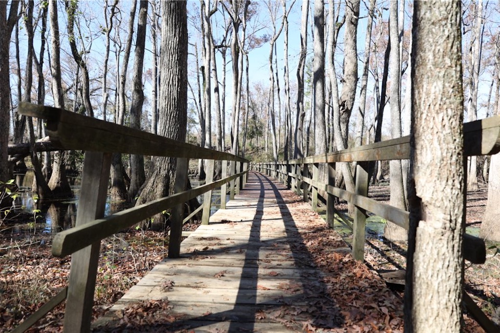 f:id:Toshibo:20221204121047j:image