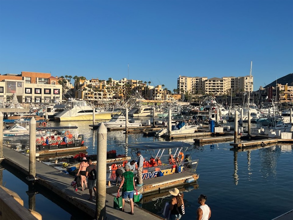 f:id:Toshibo:20221229101931j:image