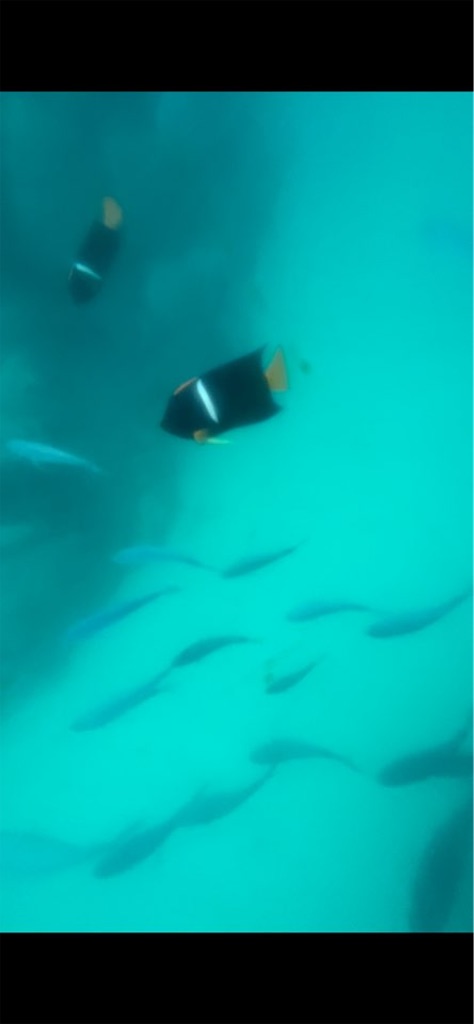 f:id:Toshibo:20221229103622j:image