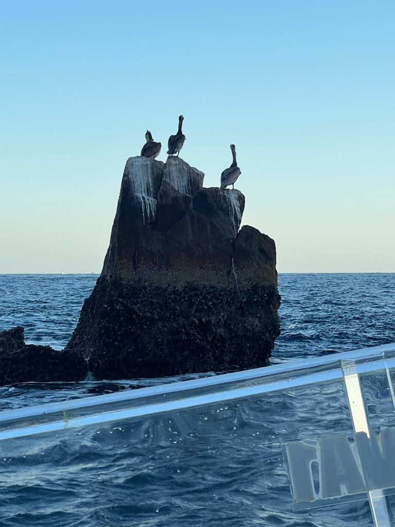 f:id:Toshibo:20221229103638j:image