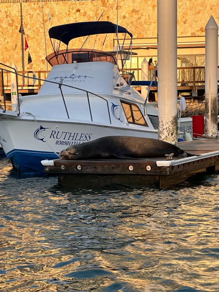 f:id:Toshibo:20221229103739j:image