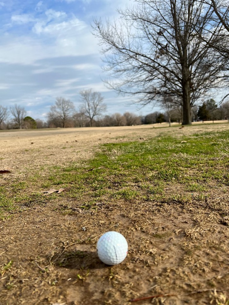 f:id:Toshibo:20230109080123j:image f:id:Toshibo:20230109080123j:image