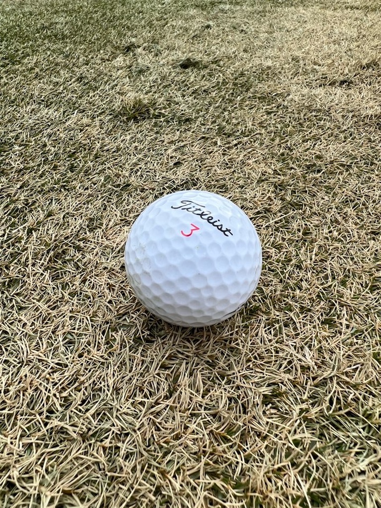 f:id:Toshibo:20230112073016j:image f:id:Toshibo:20230112073016j:image