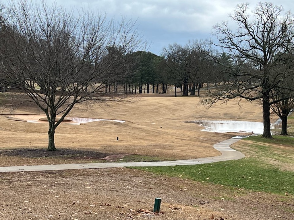 f:id:Toshibo:20230113130926j:image