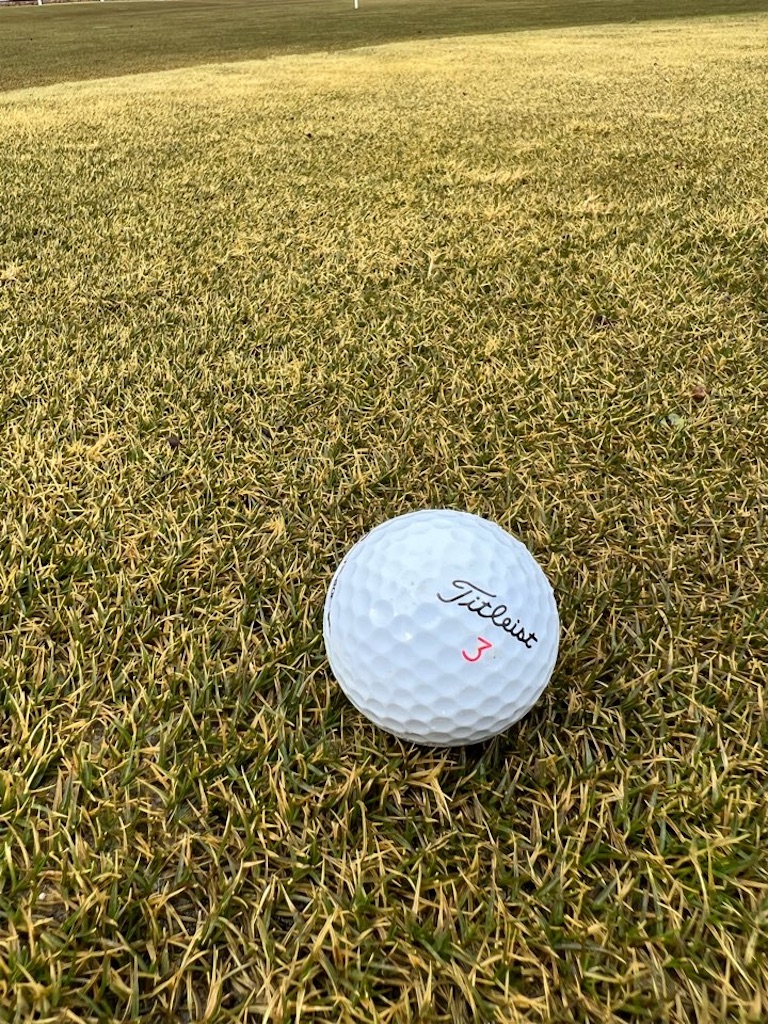 f:id:Toshibo:20230113130939j:image