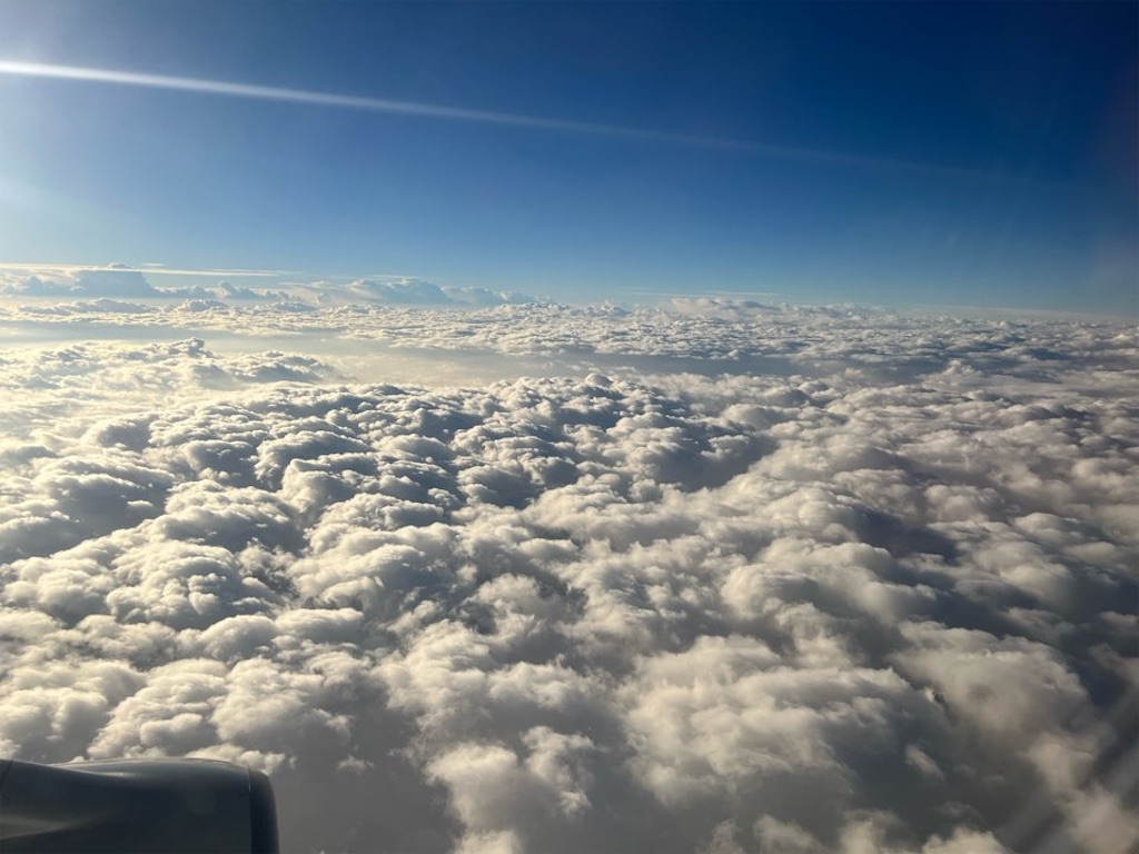 f:id:Toshibo:20230121120637j:image