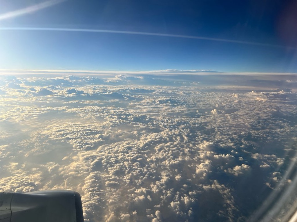 f:id:Toshibo:20230121120644j:image