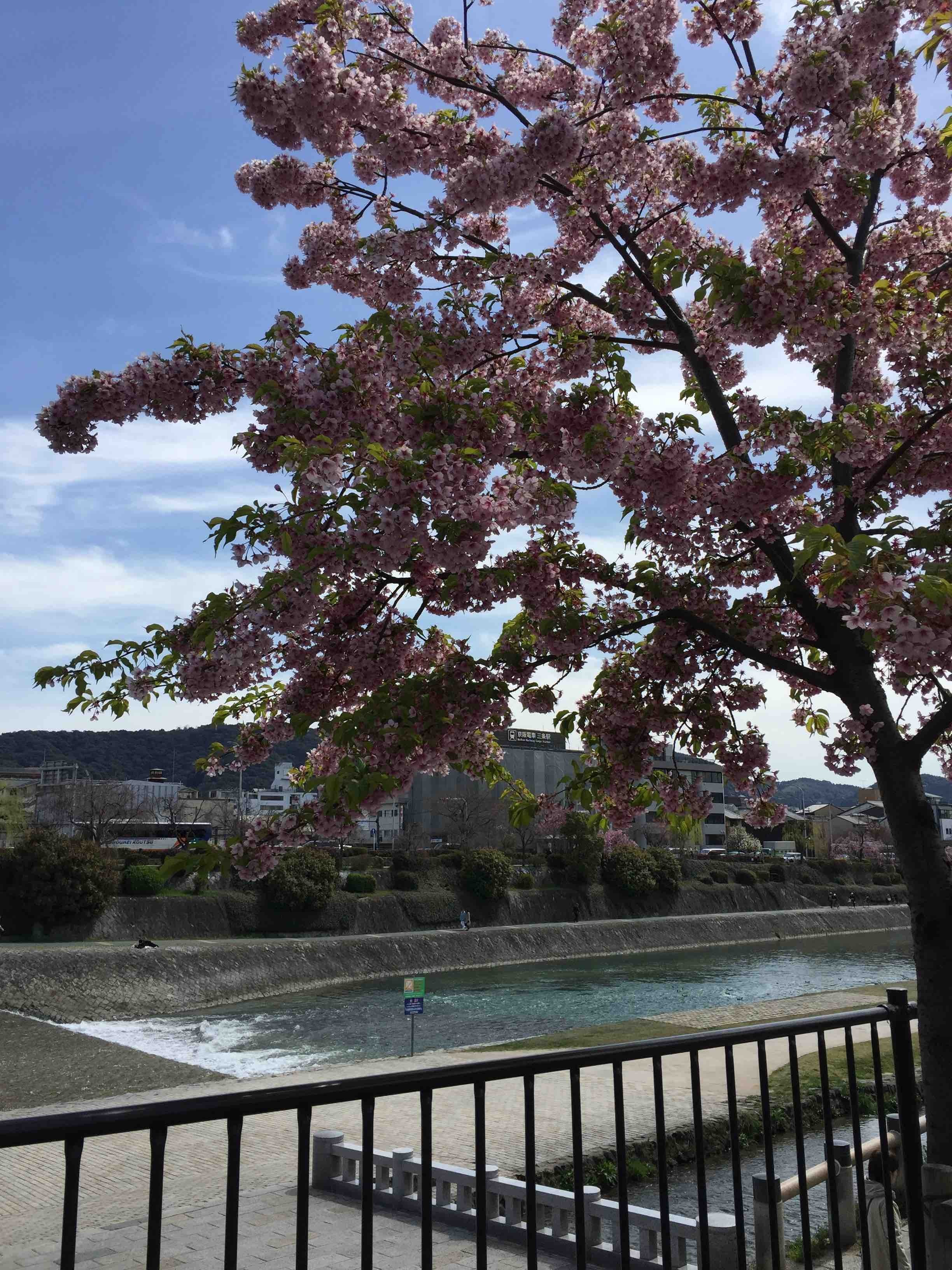 f:id:Tosshy:20180325120853j:image:w640