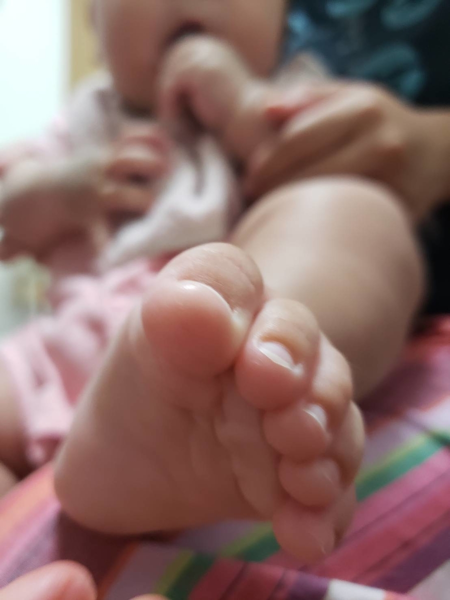 f:id:TouTou:20200616112158j:plain