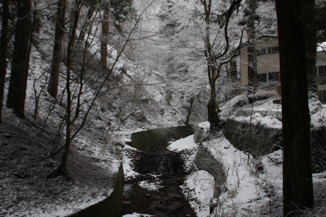 f:id:TouhouED76-55:20120311111320j:image