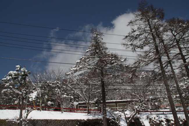 f:id:TouhouED76-55:20120311121911j:image