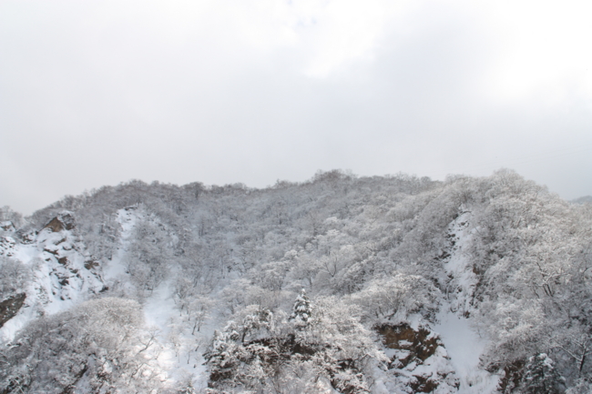 f:id:TouhouED76-55:20120311131832j:image