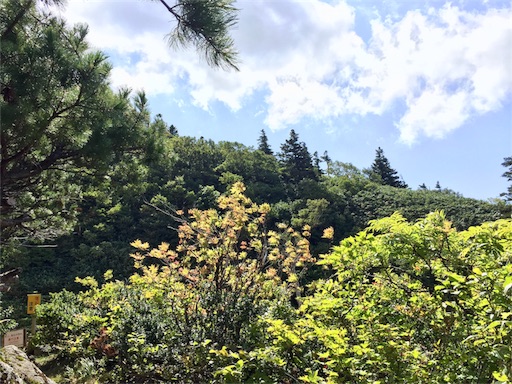 f:id:ToukoFujinomiya:20180906154228j:image