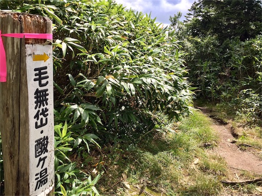 f:id:ToukoFujinomiya:20180906154604j:image