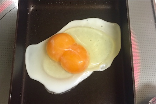 f:id:ToukoFujinomiya:20180929073313j:image