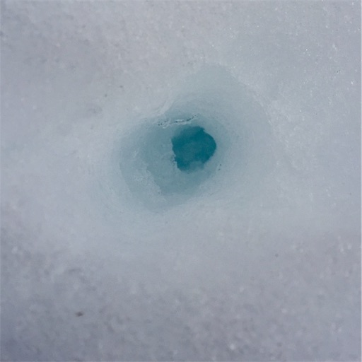 f:id:ToukoFujinomiya:20181104144930j:image f:id:ToukoFujinomiya:20181104144930j:image