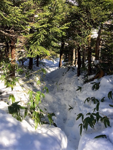 f:id:ToukoFujinomiya:20181104145106j:image f:id:ToukoFujinomiya:20181104145106j:image